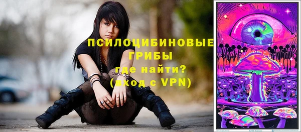 гашиш Бородино