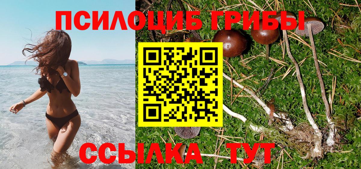 Горячий Ключ  Псилоцибиновые грибы MAGIC MUSHROOMS  Вход с VPN  цена   Галлюциногенные грибы ЛСД 